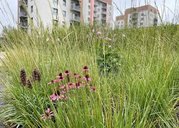 Jauna Teika Cosy 1bdr Apartment, Self Check-in * Riga