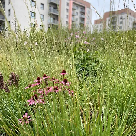 Jauna Teika Cosy 1bdr Apartment, Self Check-in * ריגה